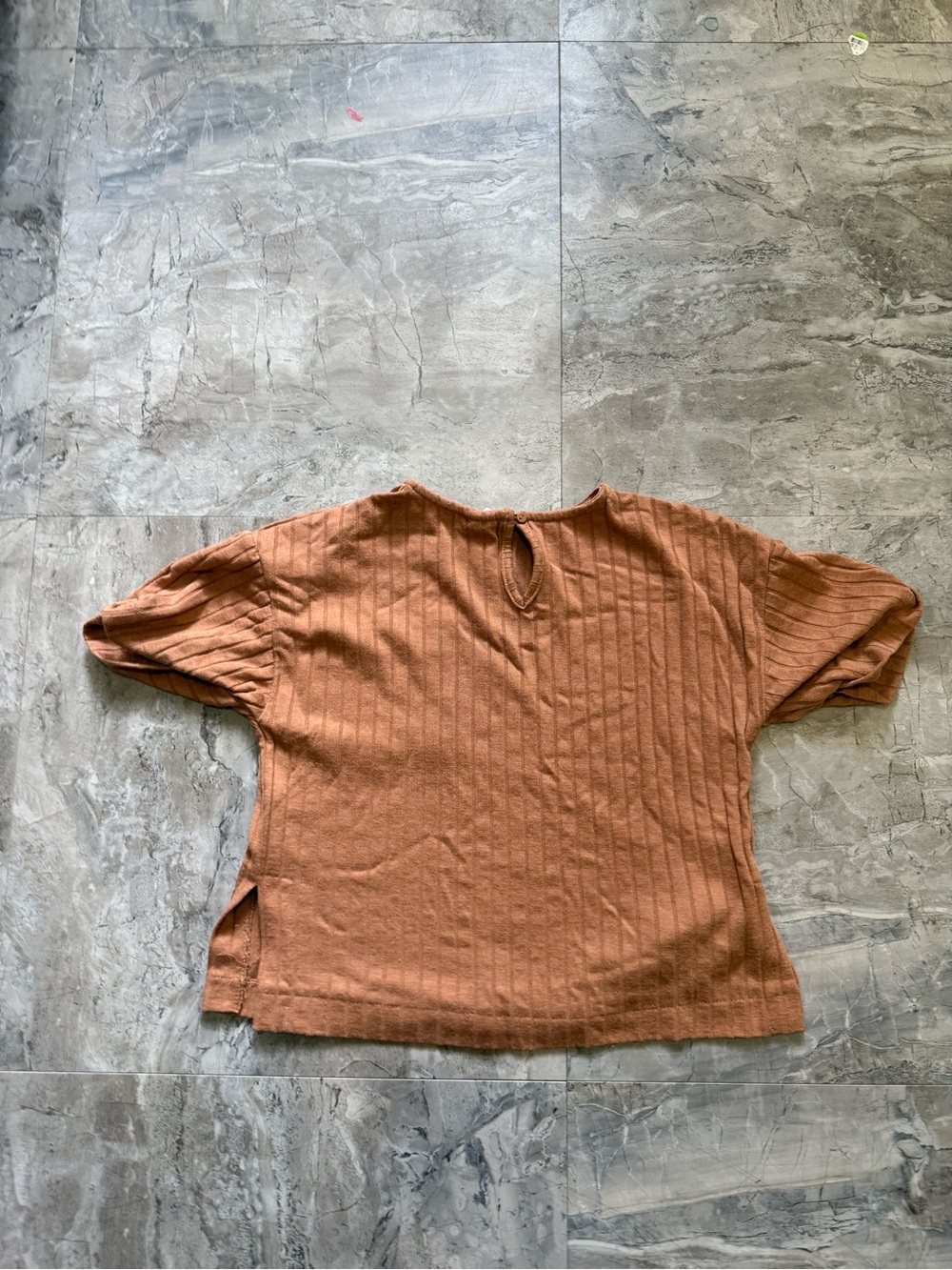 Zara Rust Ribbed Short-Sleeve Crop Top